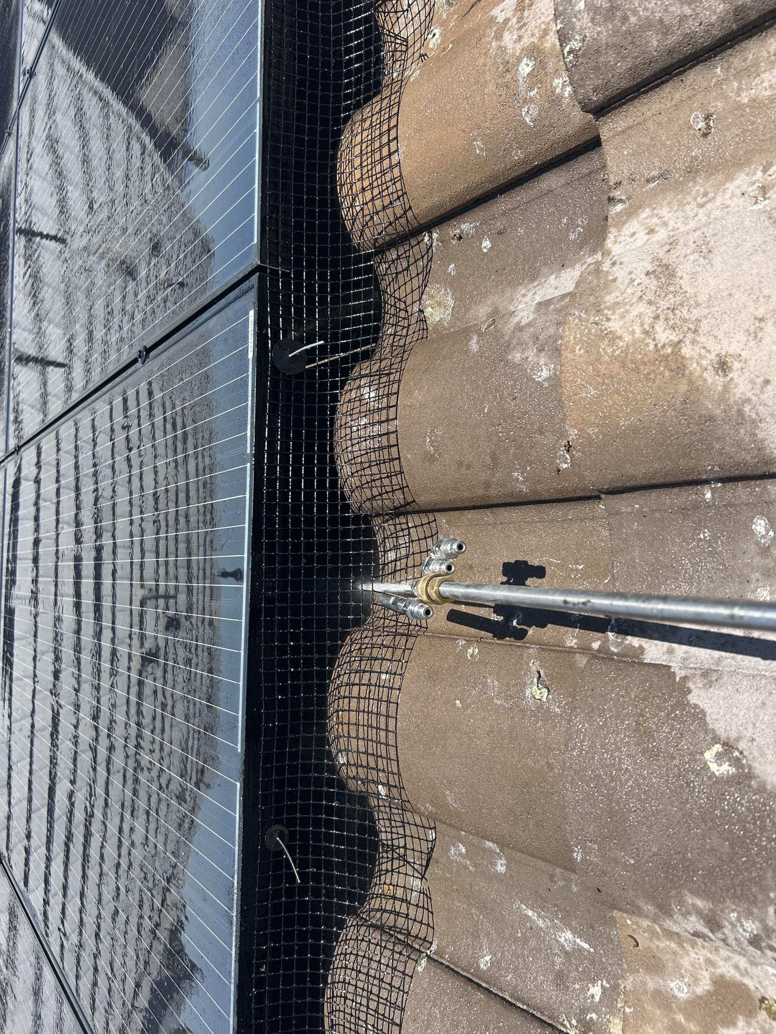 Close-up of bird mesh being installed along a tile roofline