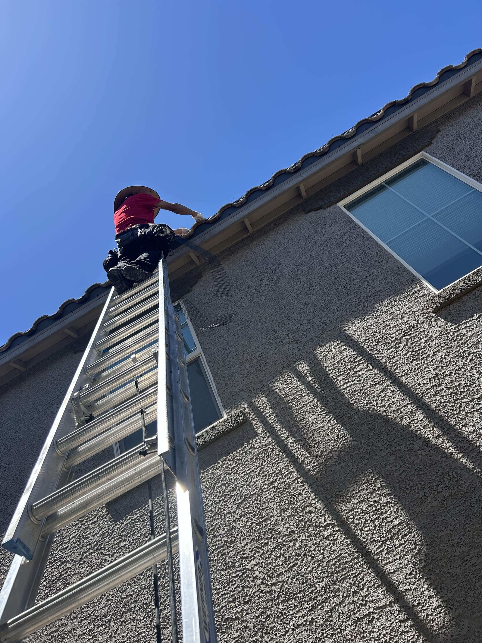 Technician on a ladder installing bird mesh at the roof edge